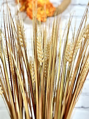 Admired By Nature 28" Artificial Autumn Flowers Artificial Wheat Grain Flowers Grass Bush for Home Kitchen Office Wedding Flowers Arrangement Farmhouse Decor Boho Party Fall Décor Table Decor, Gold