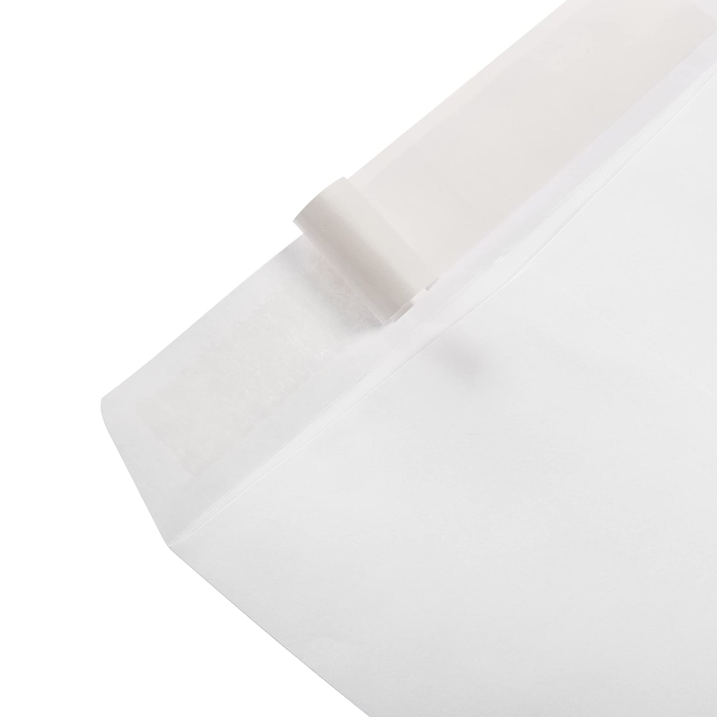 AmazonBasics Catalog Mailing Envelopes, Peel & Seal, 9x12 Inch, White, 250-Pack - AMZA33