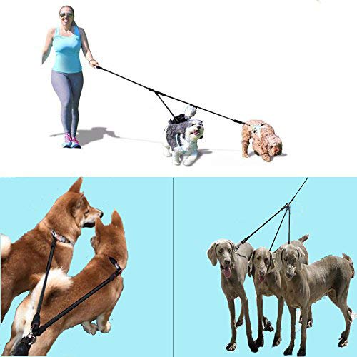 Double Dog Leash / 6.24 ft Triple Dog Leash,360°Swivel No Tangle Dual Dog Walking Training Leash,2-Way&3-Way Interchangeable Lead with Hand-Protected Handle for Two/Three Dogs