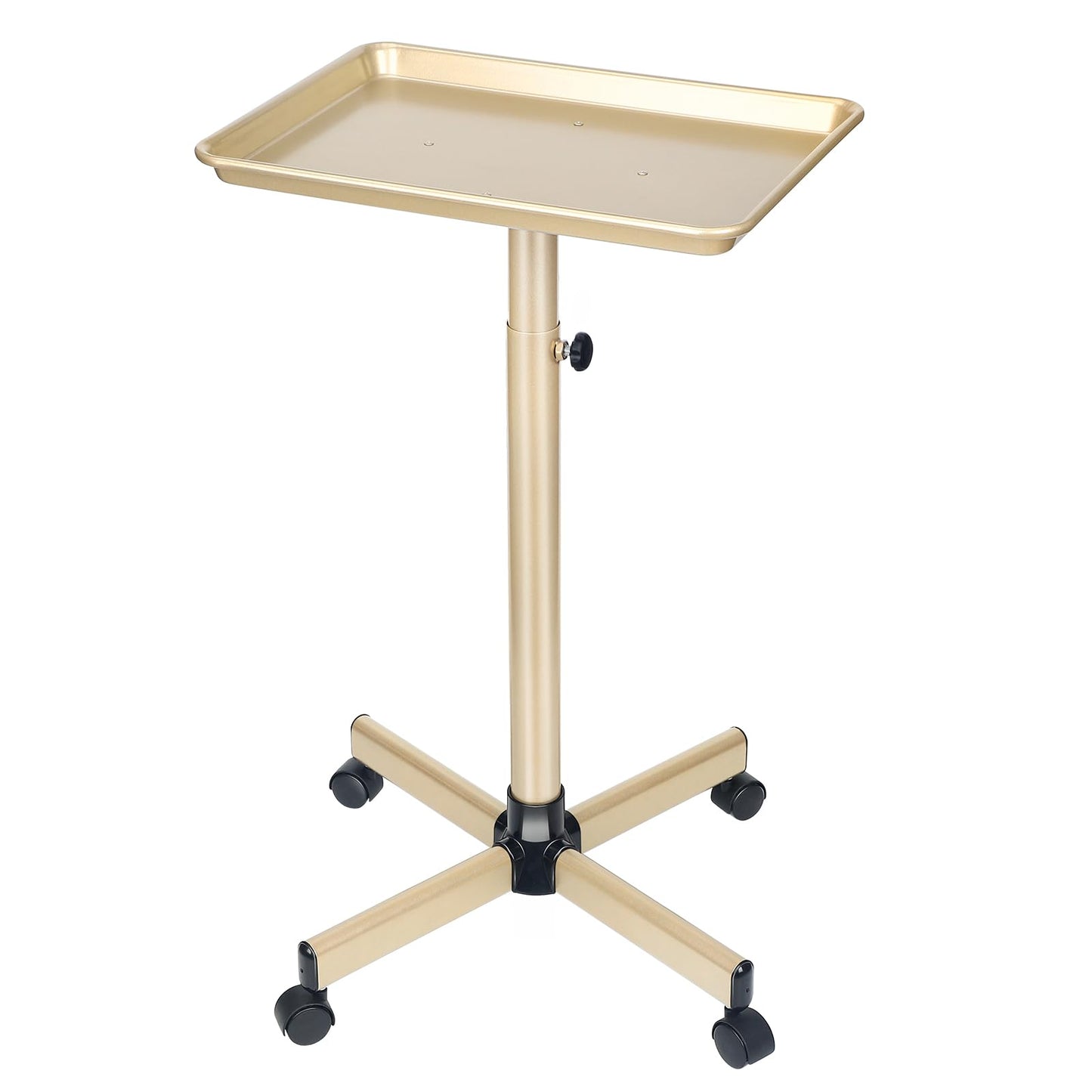 Salon Tray on Wheels, Champagne Gold Salon Tray Cart with Adjustable Height, Hair Stylist Tray, Premium Metal Tattoo Tray, Suitable for SPA and Dental Tray