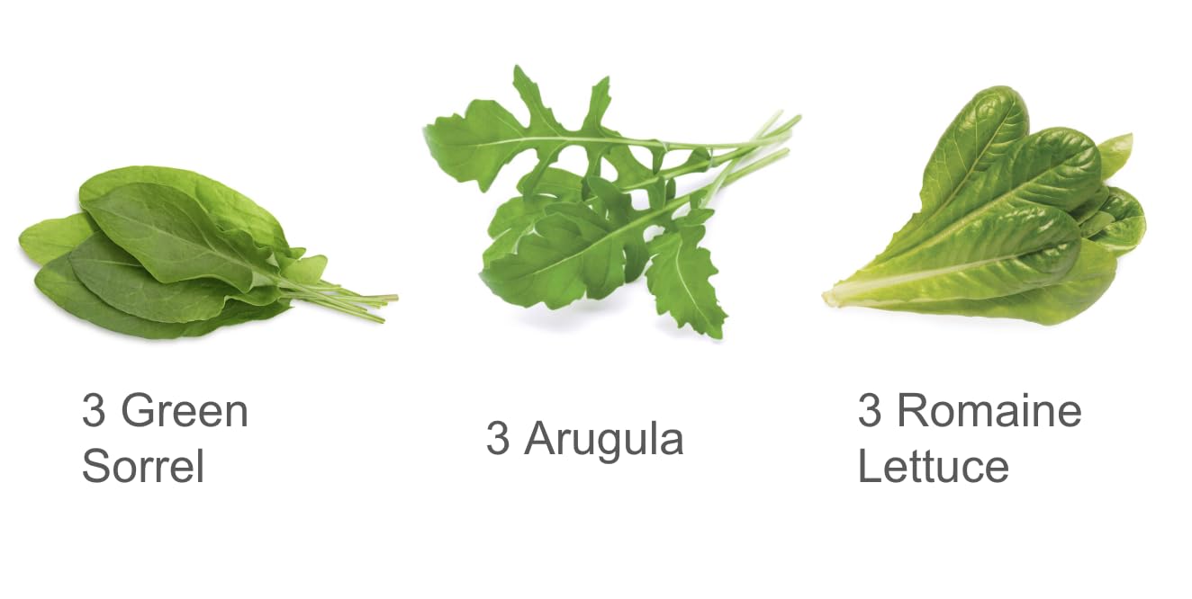Click and Grow Salad Mix 9-Pack Plant Pods for Smart Garden (Romain Lettuce, Arugula, Green Sorrel)