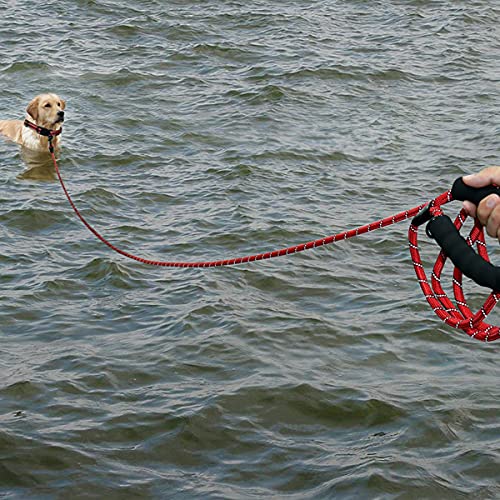 Plutus Pet Long Rope Dog Leash - Comfortable Padded Handle, Reflective Nylon Heavy Duty, 15FT 20FT 30FT 50FT 66FT Training for Small Medium Large Dogs (50FT, Red)