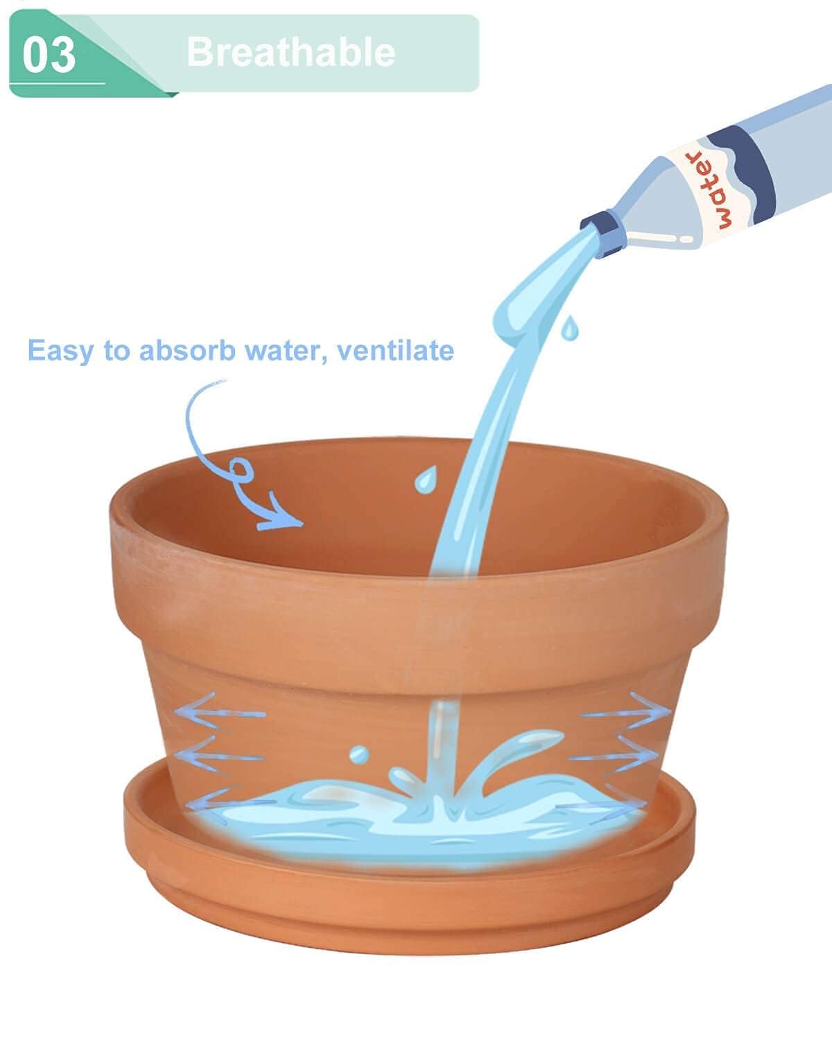 5.7 Inch Terracotta Shallow Succulent Pot - 6 Pack Terra Cotta Clay Pots with Saucer, Cacuts Terra-Cotta Indoor and Outdoor Planters with Drainage Hole