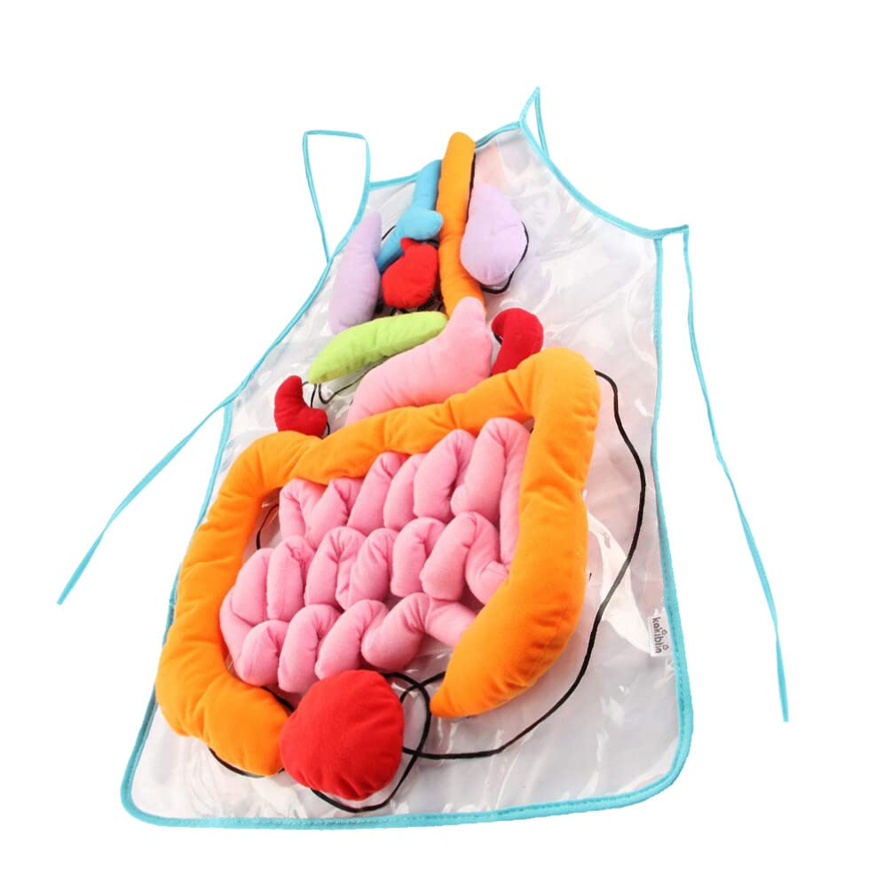 ULTECHNOVO Human Organs Apron Educational Teaching Apron for Children Early Learning Body Organ Model 23.62X17.32In Anatomy for Kindergarten Classroom Activities