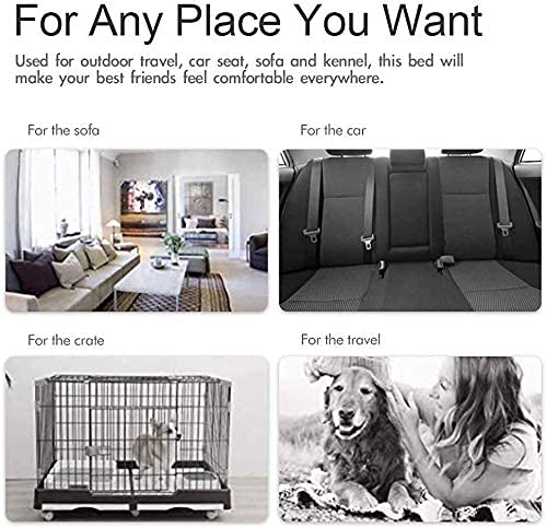 Cheerhunting Outdoor Dog Bed Pet Bed 40” X 32”, Waterproof, Washable, Large Size, Durable,Water Resistant,Portable and Camping Travel Pet Mat (L, Blue)