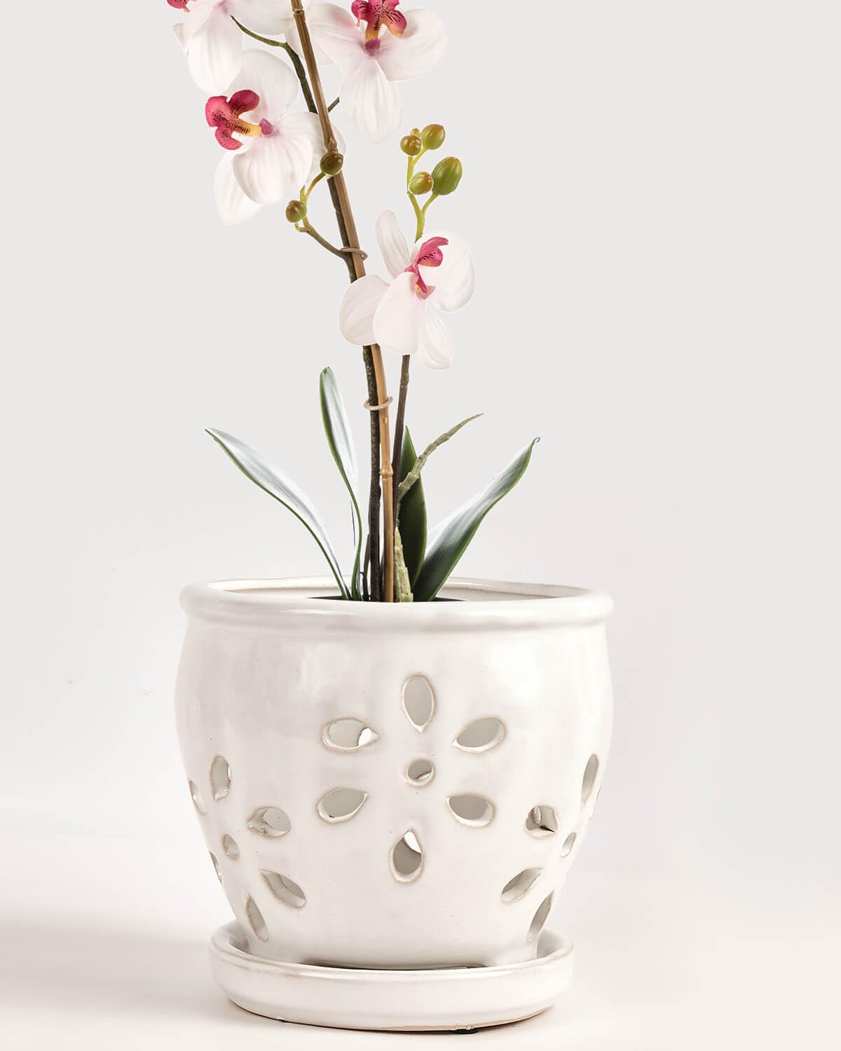 5 Inch Ceramic Orchid Pots with Holes and Saucers - 1 Pcs Small Ceramic Orchid Planter Pots for Repotting, Plant Flowerpots for Orchid Indoor and Outdoor Promotes Air Circulation, White