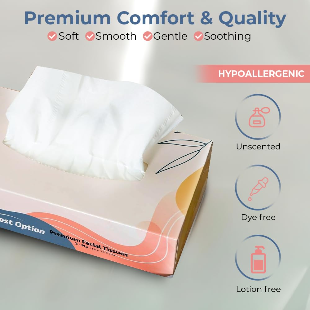 Soft 2-Ply Facial Tissue, White, 100-Count Box | Professional, Gentle and Durable | Great for Bathroom, Office, Business, School (1,200 Tissues, Bulk Pack of 12-Boxes)