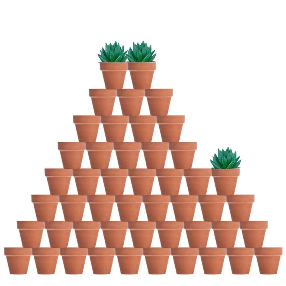 48 Pcs Tiny Terracotta Pots - 2 inch Small Mini Clay Pots with Drainage Holes Flower Nursery Terra Cotta Pots for Indoor/Outdoor Succulent Plants, Crafts, Wedding Favor