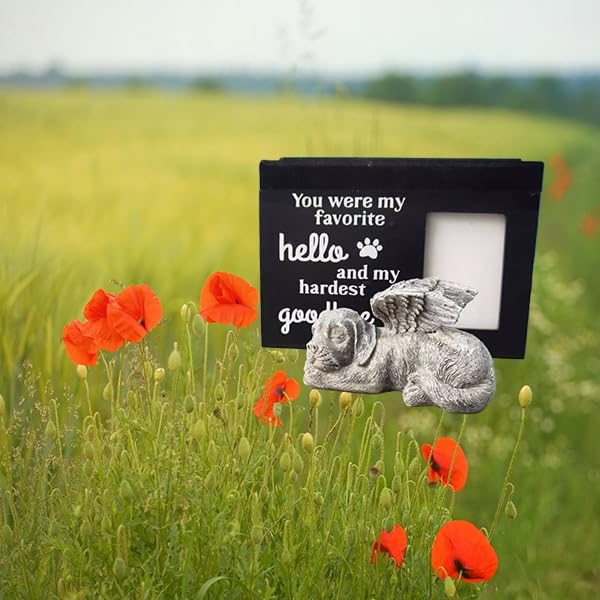 Dog Angel Wooden Urns for Dogs Ashes, Medium Wood Funeral Cremation Memorial Box with Photo Frame and a Sleeping Dog, Key, Loss Keepsake Memory Box Cremation Urns Dog pet Keepsake Memorial Gift