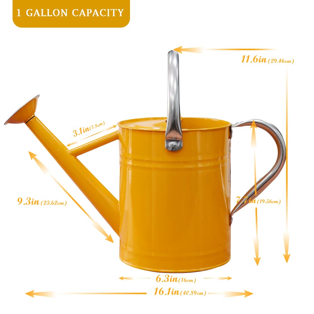 yourjoy Metal Watering Can, One Gallon Watering Cans Stainless Steel for Outdoor Indoor Garden Plants Watering