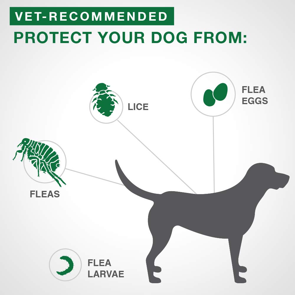 Advantage II Flea Treatment for Small Dogs weighing less than 4.5 kg (less than 10 lbs.)-2 doses