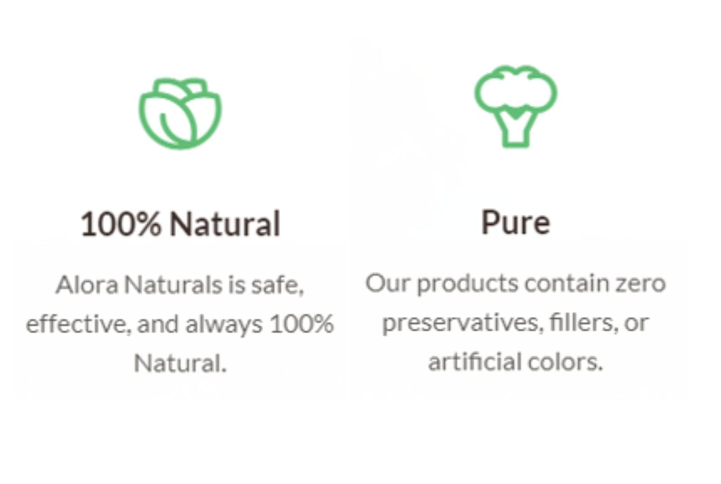 Alora Naturals Alpha GPC 600mg | High-Potency Choline Supplement for Brain Health, Focus & Memory | Acetylcholine Nootropic for Cognitive Support | Vegan, Non-GMO | 60 Capsules (Pack of 2)