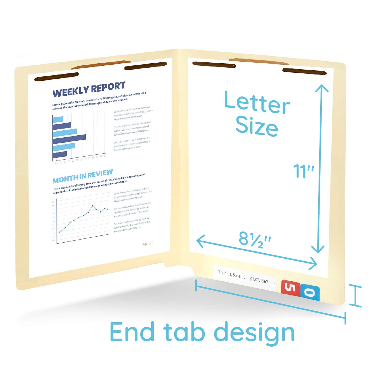 Blue Summit Supplies Heavyweight Manila Fastener File Folders with End Tabs, Reinforced Straight Cut End Tab Folders with 2 Fasteners, Standard Medical File Folders, Letter Size, Manila, 50 Pack