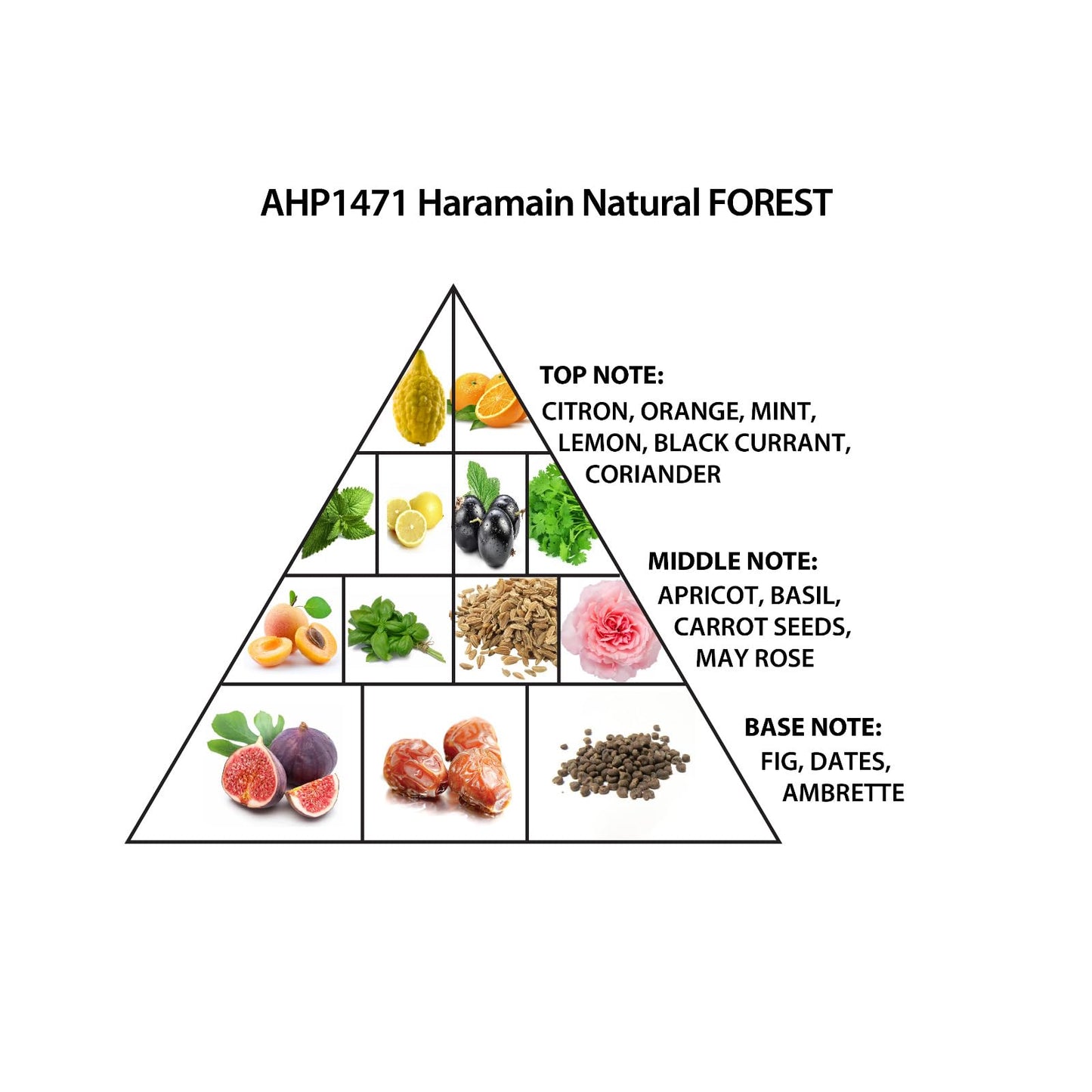 Al Haramain Natural Forest - Perfumes for Women and Cologne for Men - Unisex Cologne with Citron, Apricot, and Fig - 100 ml Extrait De Parfum Spray