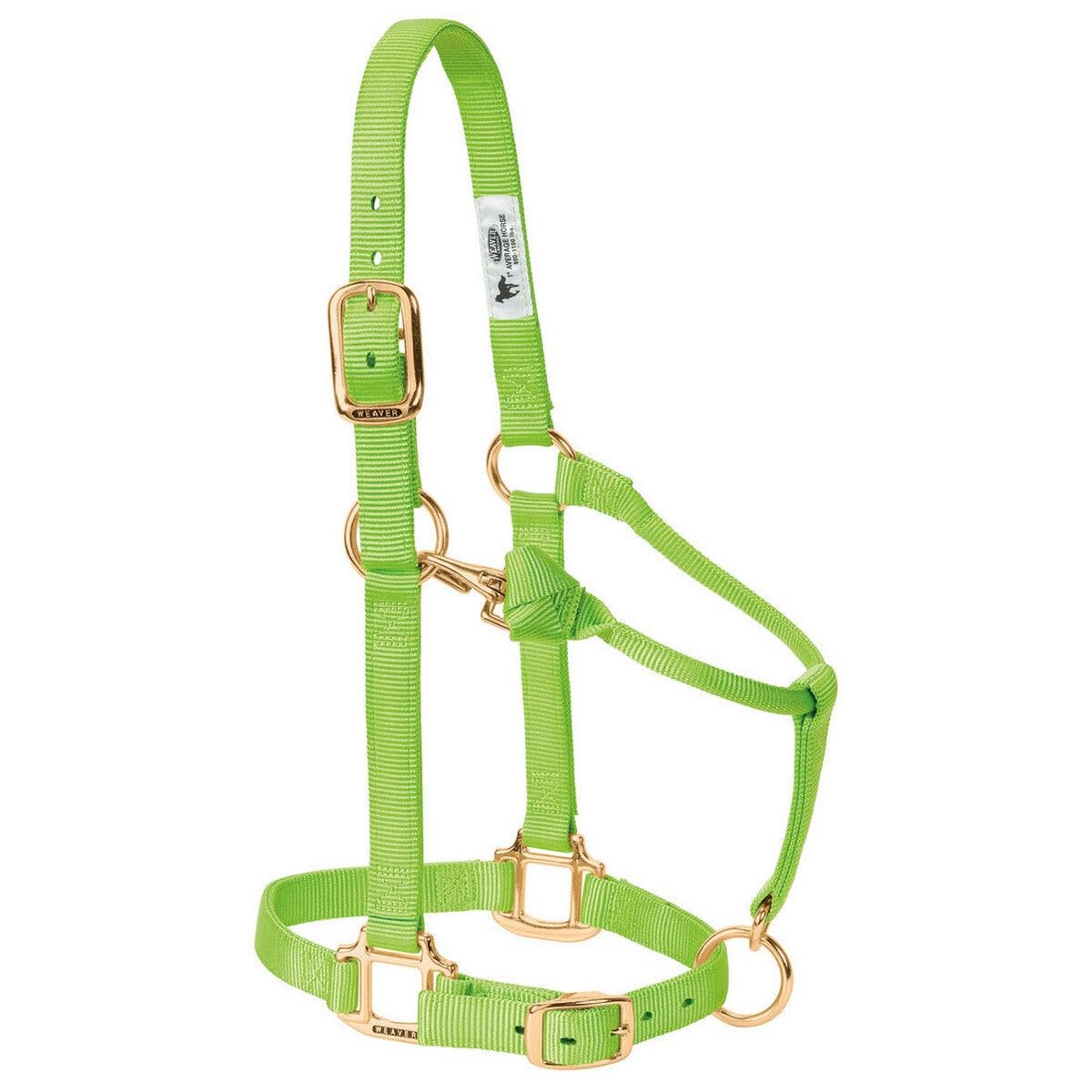 Weaver Leather Original Adjustable Nylon Horse Halter, Weanling/Pony, Hunter Green