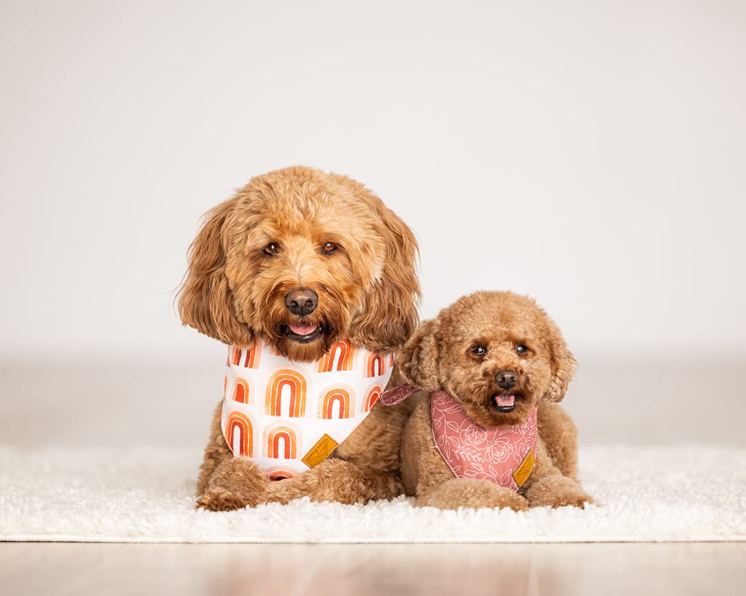 Remy+Roo Dog Bandanas - 4 Pack | Rubi Set | Premium Durable Fabric | Unique Shape | Adjustable Fit | Multiple Sizes Offered | (Large)