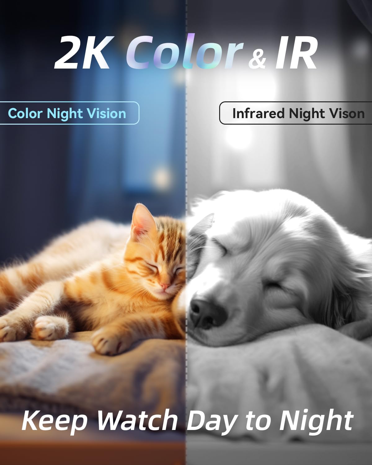 blurams Pet Camera 2K, 360° Indoor Security Camera, Dog Camera with Phone App, PTZ Cameras for Home Security Indoor, 2-Way Audio, Motion Tracking, Color/IR Night Vision, Siren, Cloud&SD (White)