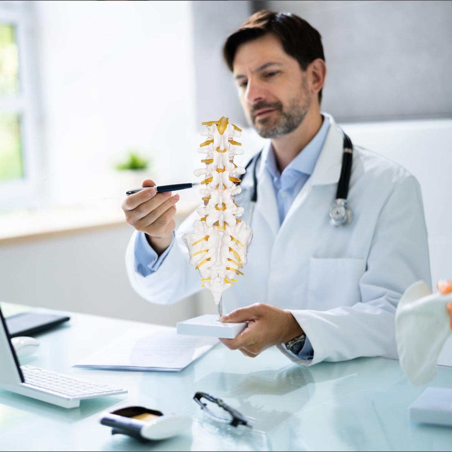 NLShan Scientific Lumbar Spine Model with 5 Vertebrae, Life Size Human Lumbar Vertebrae Anatomy Model with Sacrum, Spinal Disc, and Sturdy Base, Perfect Tool for Classrooms, Offices, Medical Teaching.