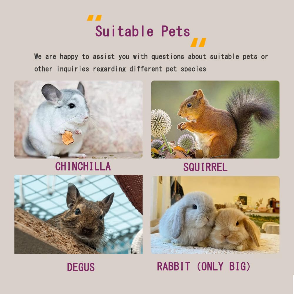 CHIIRAKU Chinchilla House – Natural Wooden Hideout, Safe & Durable, Unpainted, with Pegs for Teeth Grinding