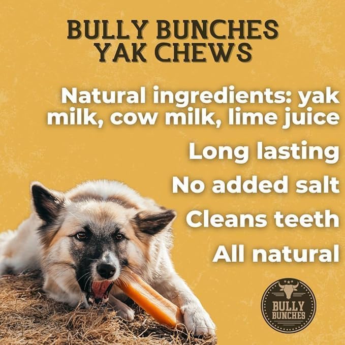 Bully Bunches Premium Flavored Himalayan Yak Chew for Dogs, 100g, All-Natural, Long-Lasting, Authentic Yak Milk, Healthy Dental Chew (Strawberry, Blueberry, Mint & Cheese Yak Chews, Medium, 4 Pack)
