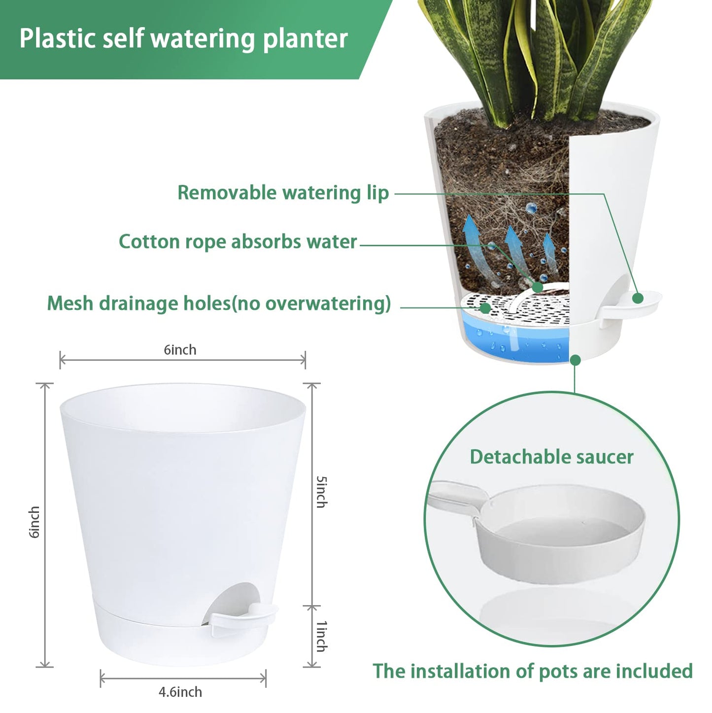 Bouqlife Wall Planters for Indoor Plants 3 Pack 6 Inch Flower Pot Holders Metal Ring with Self Watering Pots Wall Hanging Planters Gold-White