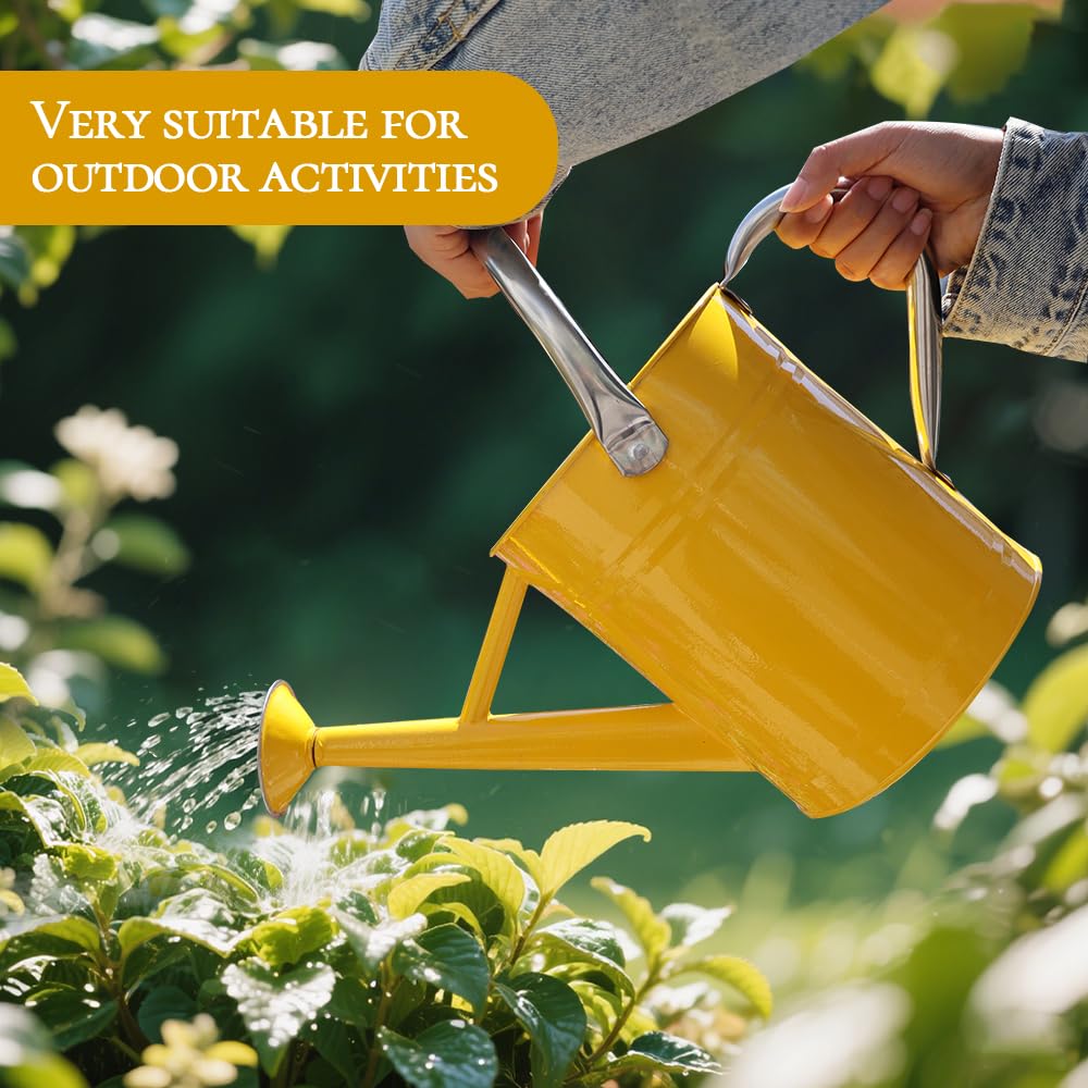 yourjoy Metal Watering Can, One Gallon Watering Cans Stainless Steel for Outdoor Indoor Garden Plants Watering