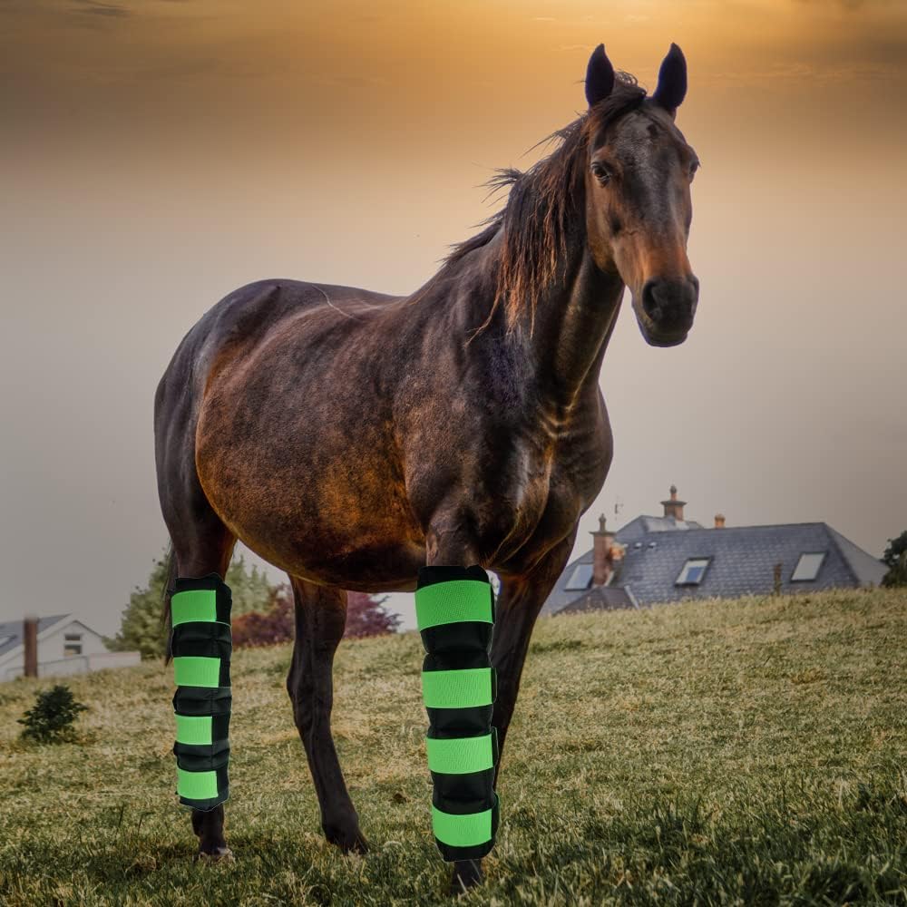 WORLD-BIO Horse Ice Boots Wraps Set of 2, Reusable Cooling Boot Wrap for Horse Injuries, Therapy Full Ice Boots for Horses with Straps, Hock, Knee and Hooves, 16.9'' x 16.2'' Green