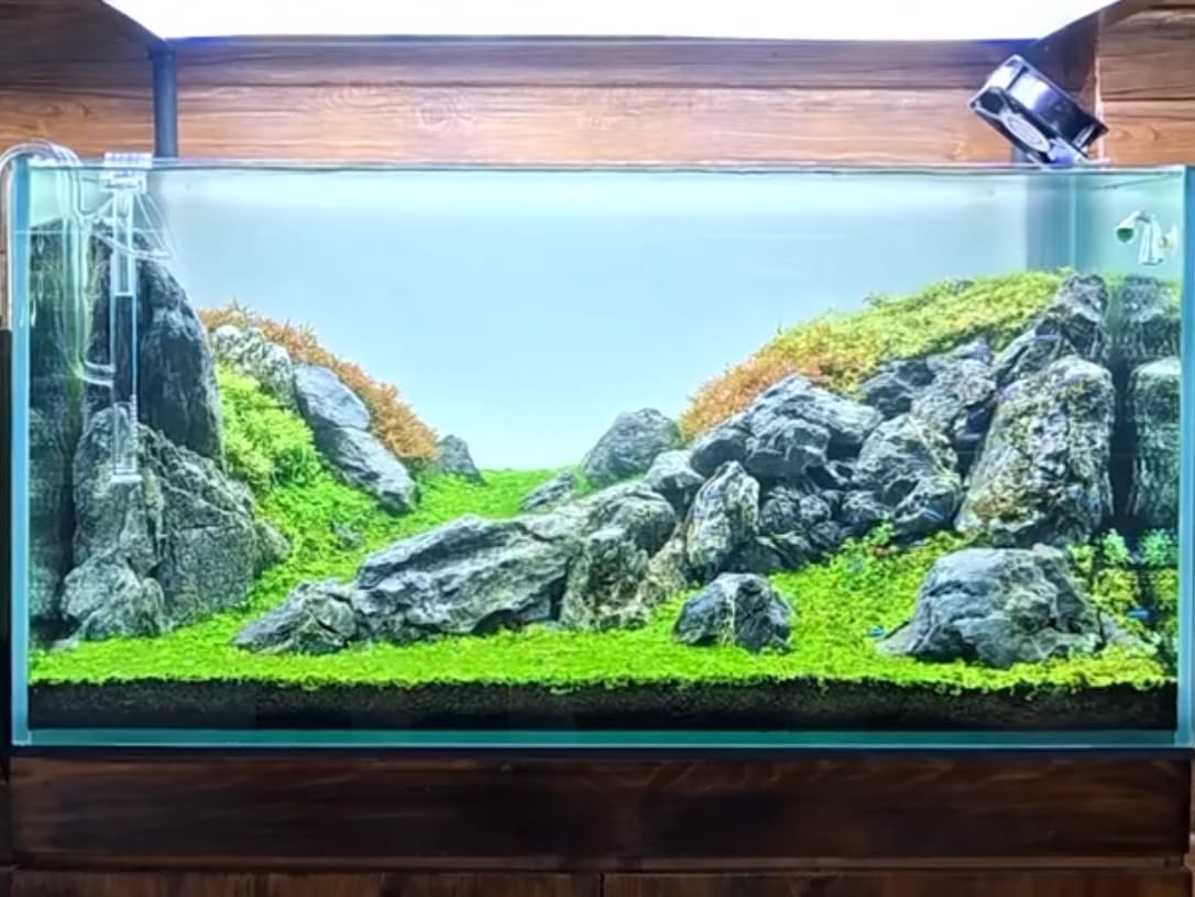 ChaoLeHo Natural Rocks Seiryu Stones Aquariums Stones for Aquascaping, Aquariums, Terrariums, Vivariums Decorative Stone,Reptile Enclosures,Paludariums,and Gardens-10LB（2 to 7 inch）