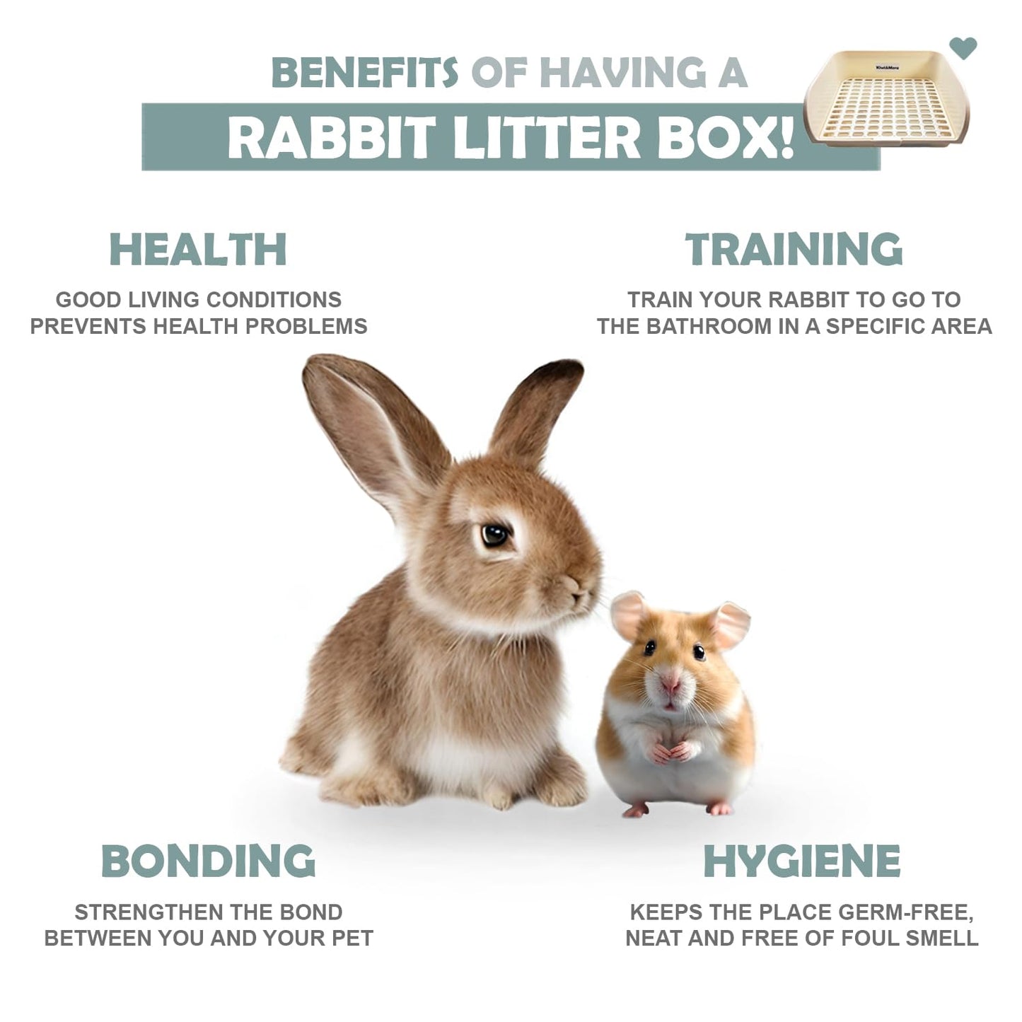 Kiwi & Mora Rabbit Litter Box - Extra Large Bunny Litter Box, Easy to Clean and Disassemble, Prevents Odors and Stains. Training Toilet Pan for Guinea Pig, Hamster, Kitty, Ferret, Galesaur,Chinchilla