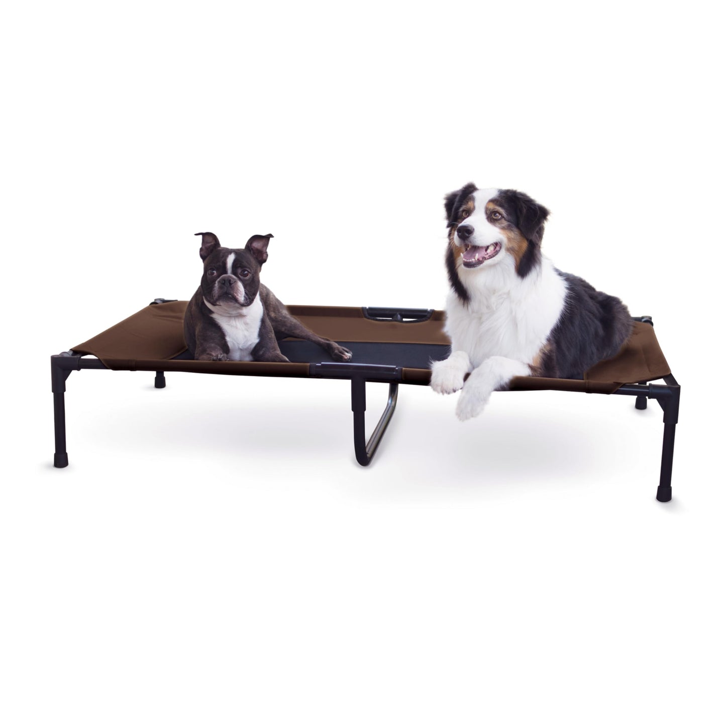 K&H Pet Products Outdoor Elevated Dog Cot, Breathable Cooling Elevated Cot Hammock Pet Bed for XL Dogs, Washable Mesh Cover, Raised Metal Frame, Collapsible, Portable - Extra-Large 50 X 32 Chocolate