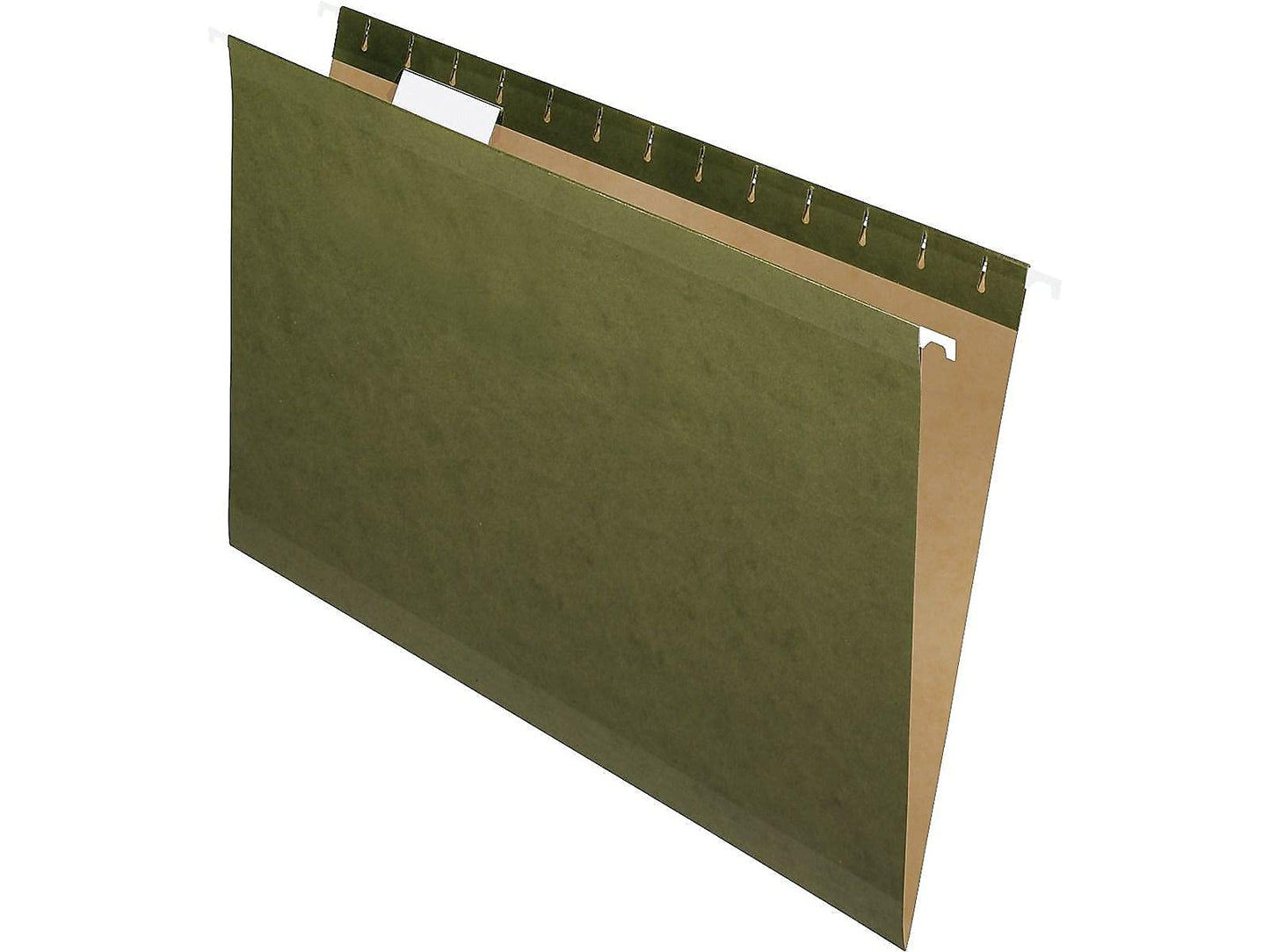 Pendaflex Standard Green, Legal Size, Hanging File Folder (PFX4153 1/5)