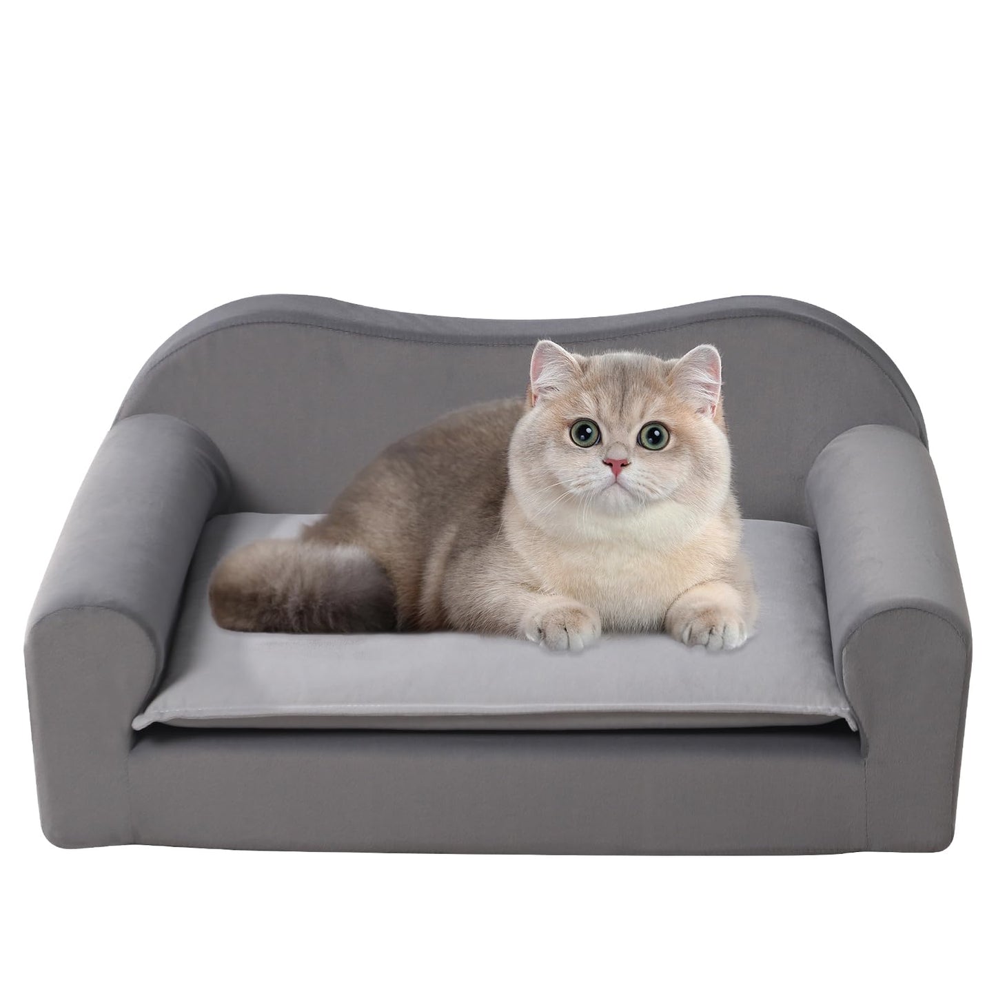Cat Couch Bed for Indoor,Comfort Small Dog Sofa,Pet Couch for Puppy and Kitten,with Removable Washable Cover and Non-Slip Bottom (Light Grey)