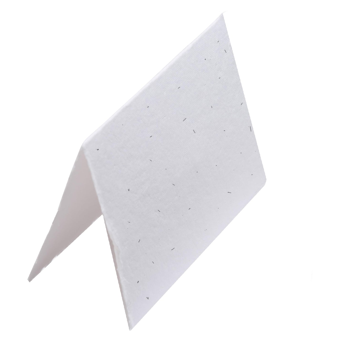 Wanderings Handmade Flower Seed Greeting Cards – 5" x 7" (12.5 x 18cm) – Pack of 25 – Plantable Wildflower Seed Paper for Invitations, Thank Yous & Greetings – 250 GSM Deckled Edge