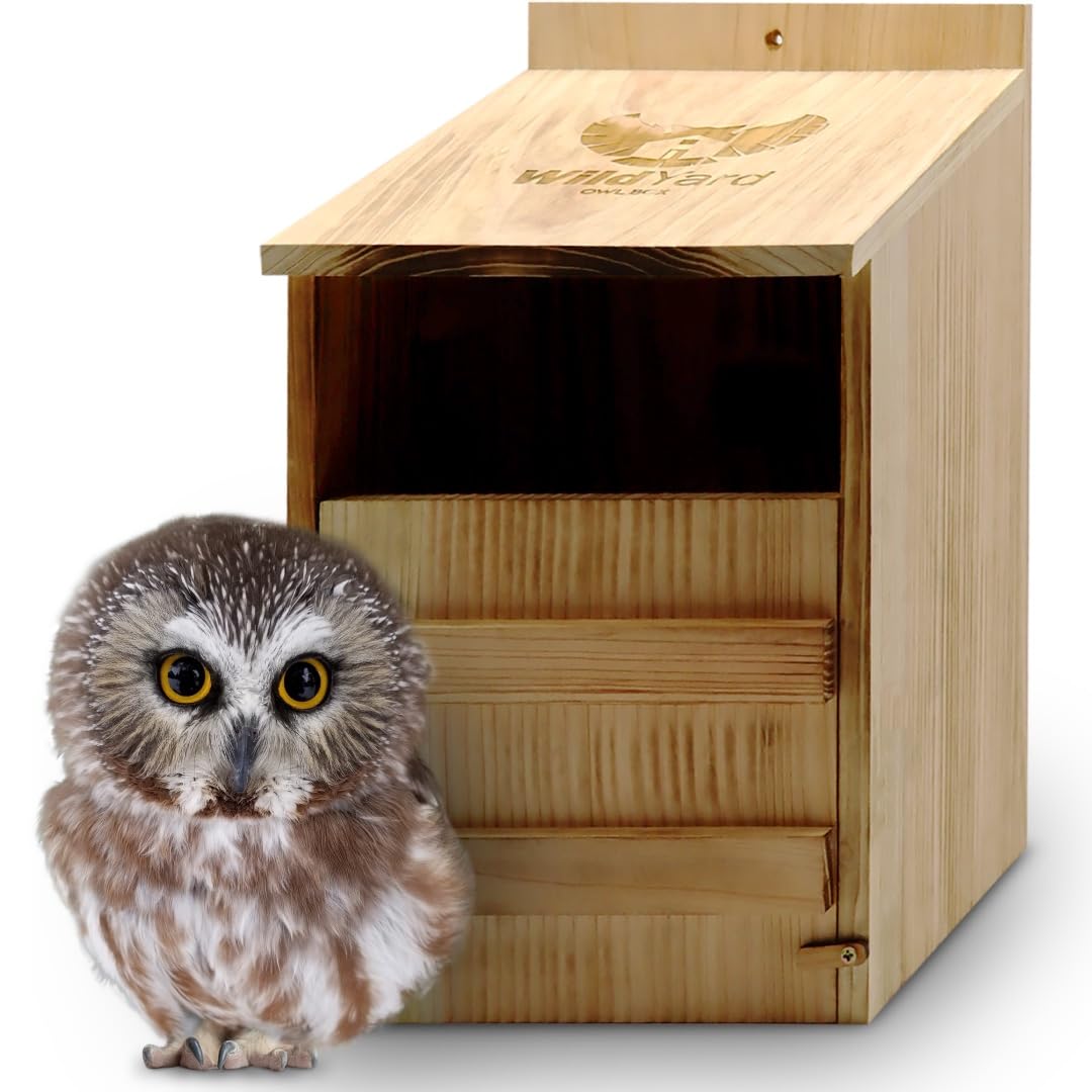 WildYard Owl Nesting Box - Cedar Wood - Preassembled Barn Owl Nesting Box with Screws - Durable Cedar Construction Birdhouses Outdoors - Large Front Door Easy Cleaning Wooden Birdhouse