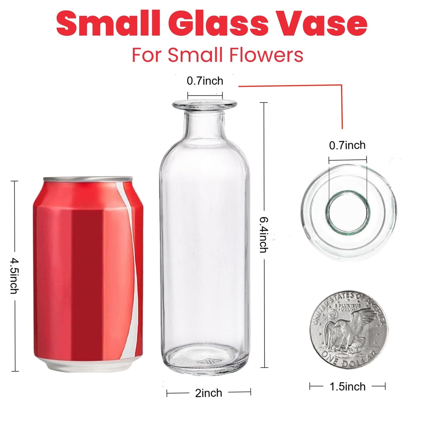 Peohud Set of 12 Glass Bud Vases, Clear Small Flower Vases, Decorative Glass Bottles Floral Vases for Home Decor, Wedding Reception, Centerpieces, Party