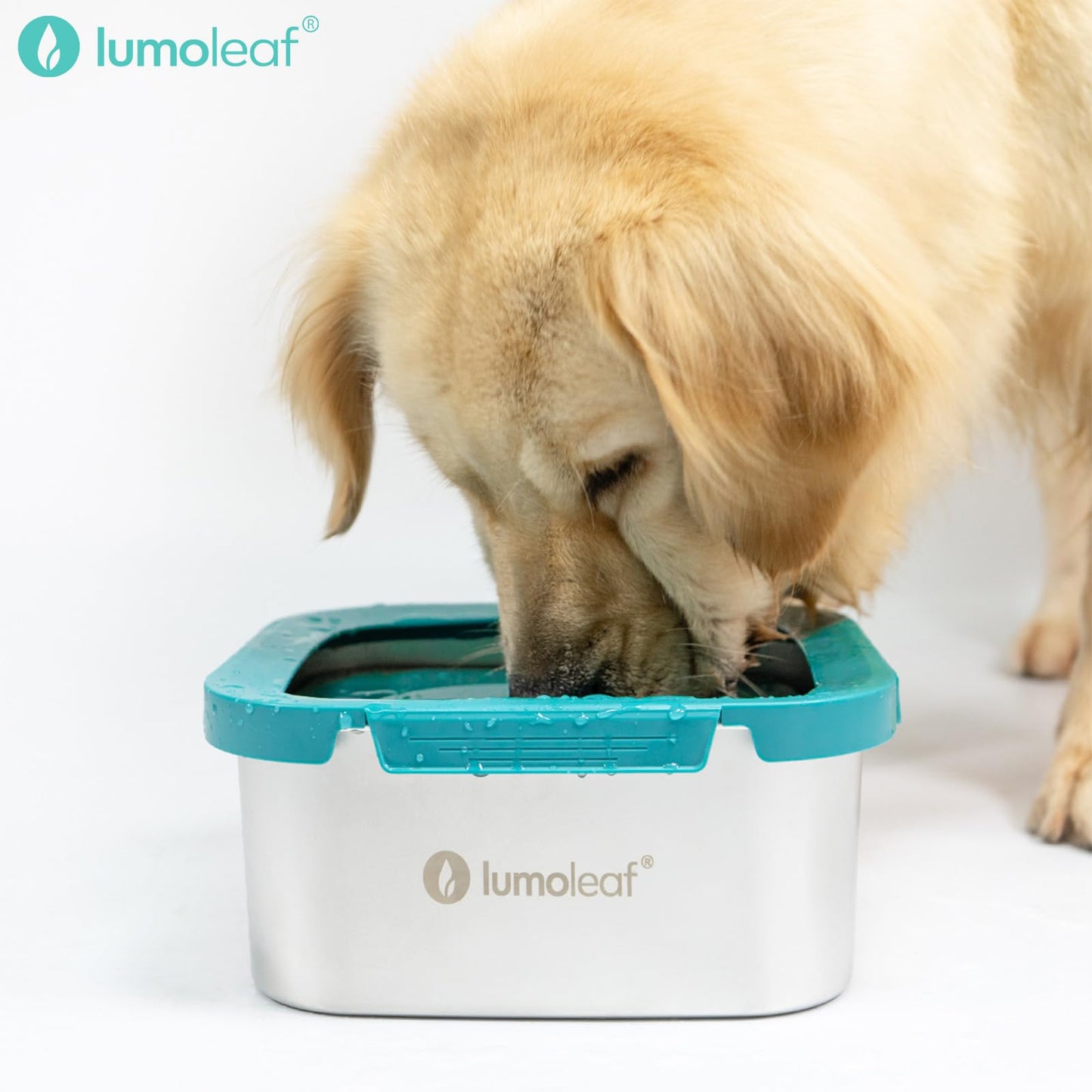 LumoLeaf Dog Water Bowl, Splash-Free Pet Slow Water Feeder Bowl, No Spill Dog Bowl, Vehicle Carried Water Bowl for Dogs Cats Pets (4L Blue)