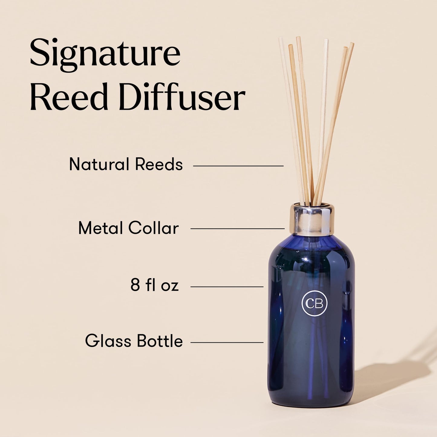 Capri Blue DPM Reed Diffuser Volcano Fragrance Size: 8 Ounce