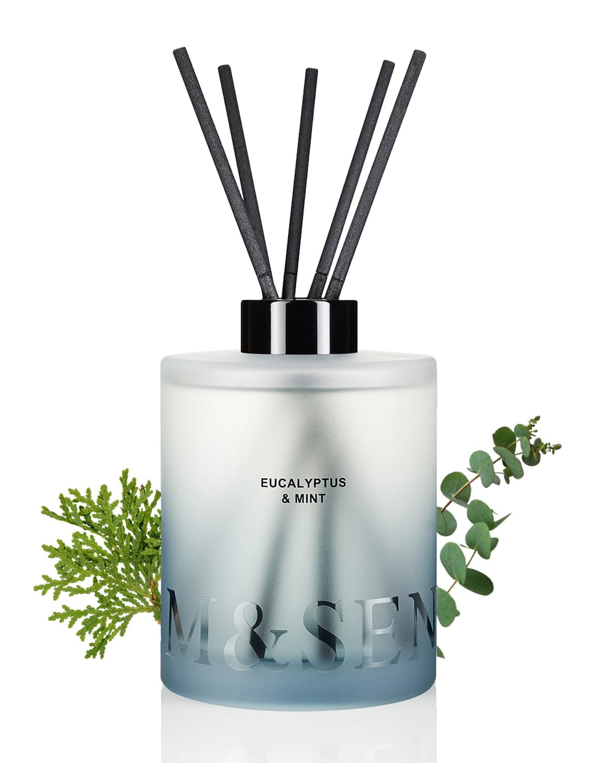 M&SENSE Eucalyptus & Mint Reed Diffuser Set - 16.9 fl oz Long-Lasting Fragrance, Non-Toxic Scent Diffuser with Natural Oil Sticks | Housewarming Diffuser Gift for Men Women, Bathroom & Home Decor