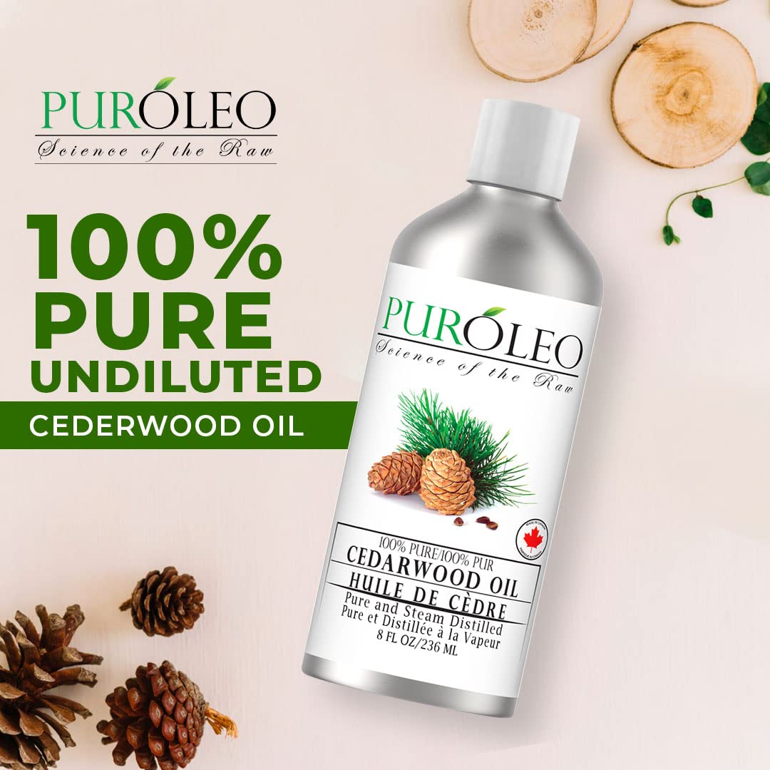 PUROLEO Cedarwood Essential Oil 8 Fl Oz/236 ML (Packed In Canada) 100% Pure & Natural Cedarwood Oil for Aromatherapy, Relaxation, and Skin Care - Therapeutic Grade Cedarwood Oil for Diffuser