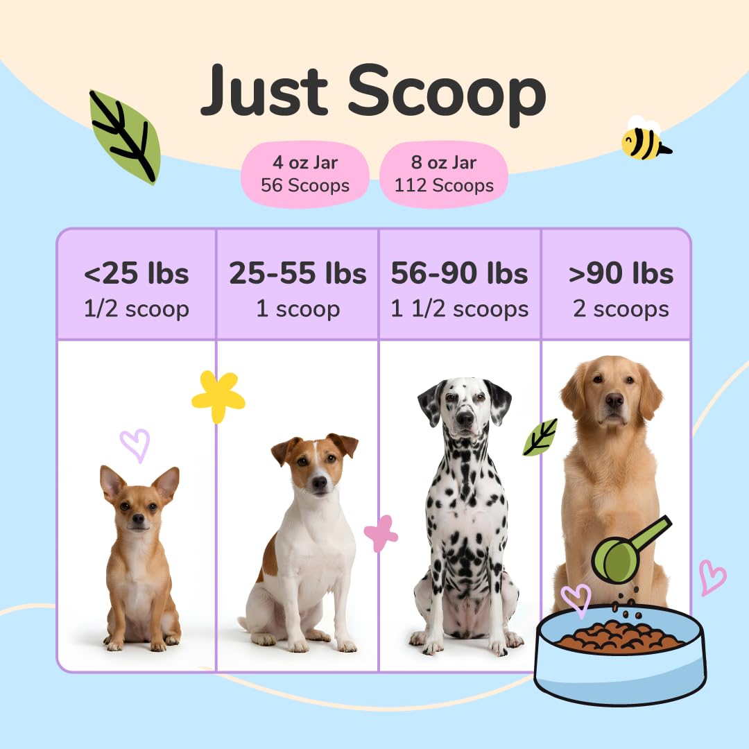 kin+kind Organic Fiber for Dogs&Cats - Pumpkin Boost for Healthy Poops - Digestive Health - Flax Seed, Ginger, Turmeric and Coconut - Made in USA - Bundle (3 x 226.8 g)