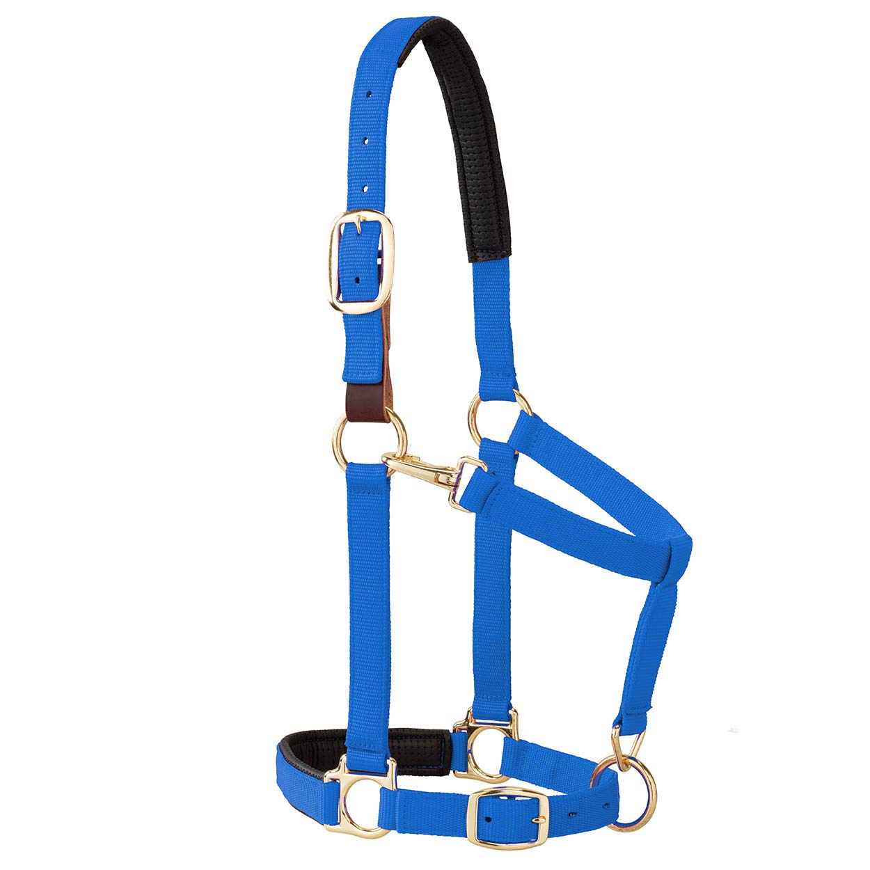 Weaver Equine Breakaway Horse Halter, Comfort Foam Padding, Adjustable Chin & Throat Snap Halters for Horses, Equine Tack,Average Size, Blue