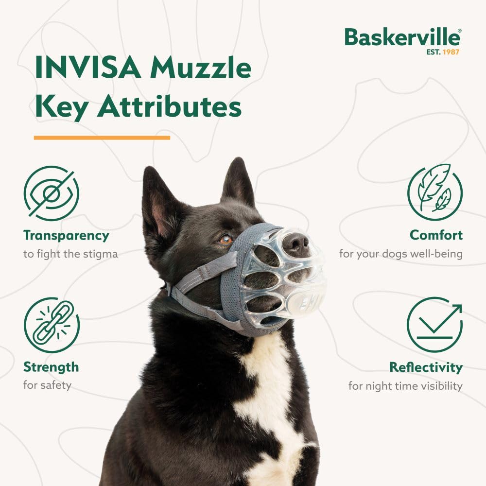 Baskerville INVISA Basket Dog Muzzle - Patented Humane Design with Facial Visibility, Padded Nose Band, Dog can Pant and Drink, Prevents Biting and Scavenging. Muzzle for Medium-Sized Dogs (Size 4)