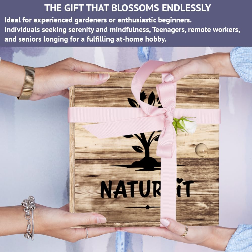 Bonsai Tree Seed Starter Kit - All You Need to Grow 4 Bonsai Trees from Seeds. All-in-One Indoor/Outdoor DIY Beginner Grow kit for Men & Women. Best Gift Idea for Mom and Dad (Premium Gift Box)