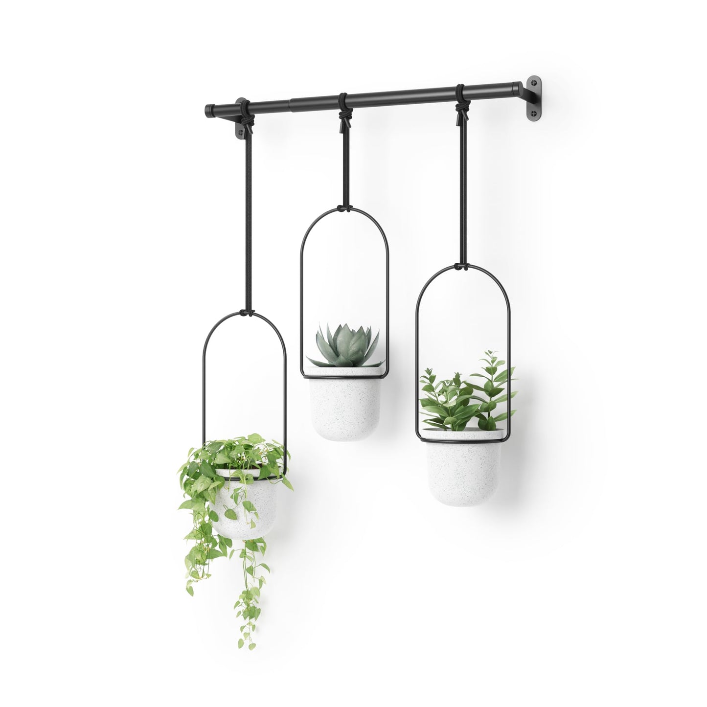 Umbra Triflora Hanging Planter for Window, Indoor Herb Garden, White/Black
