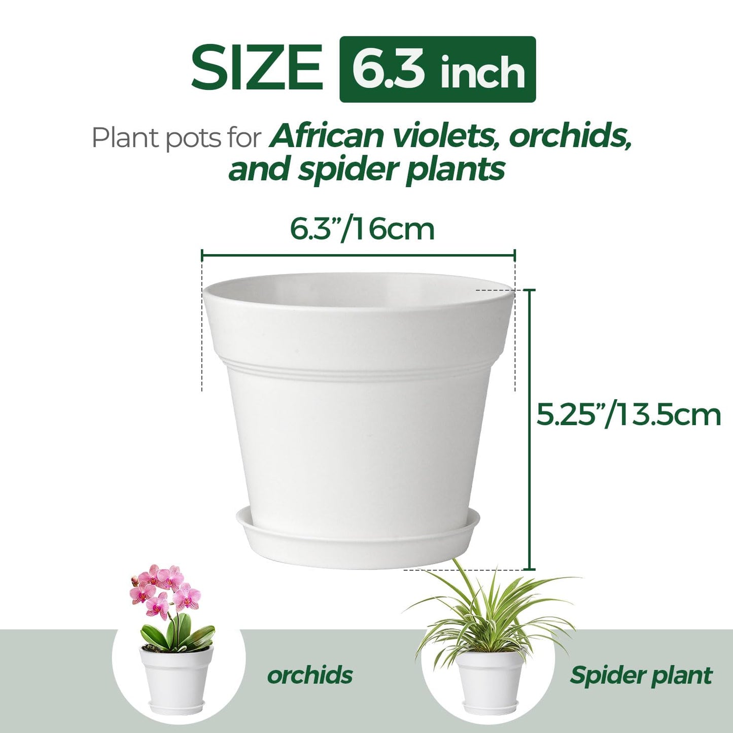 T4U 6 Inch Flower Pots 10-Pack - Small Plastic Planter with Drainage Hole and Saucer, Decorative Nursery Plant Pot Bulk for African Violet, Snake Plant, Aloe and All House Plants Indoor (White)
