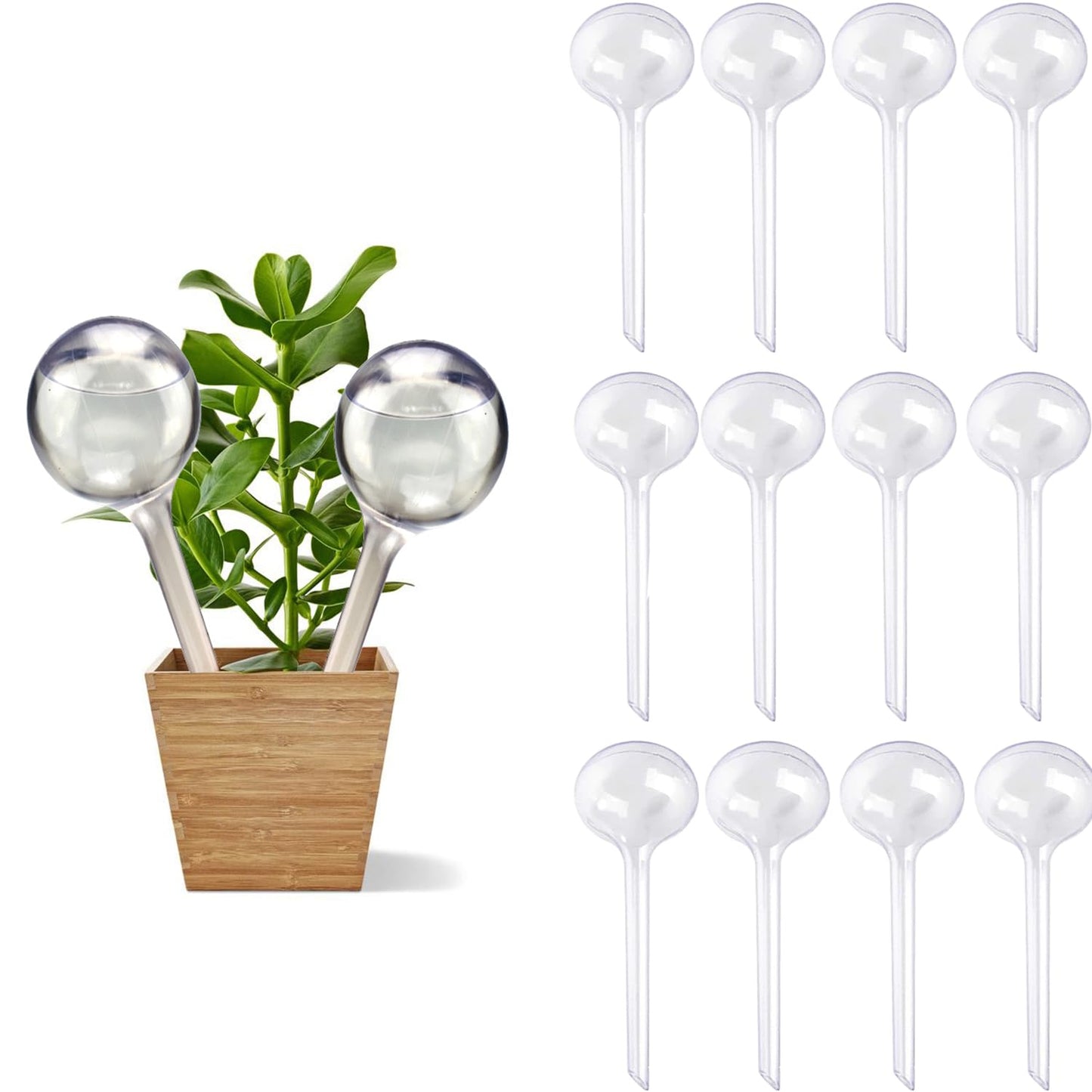 12Pcs Large Plant Watering Globes, Automatic Self-Watering Plastic Balls, Garden Water Device for Plants
