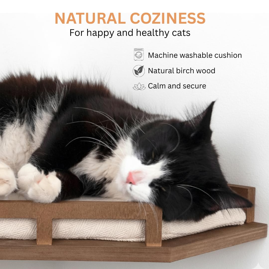 INICIO Cat Wall Shelves - Modern and Durable 3 Step Cat Furniture for Wall - Stylish Birch Floating Shelf for Cats up to 15lbs - Wooden Corner Shelves with Cushioned Perch - Brown