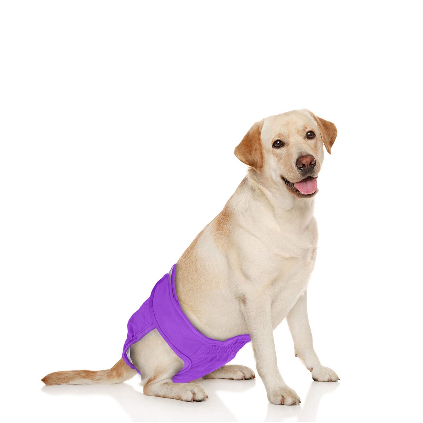 Luxja Reusable Female Dog Diapers (Pack of 4), Washable Wraps for Female Dog (Large 2, Sky Blue+Purple+Green+Rose Red)