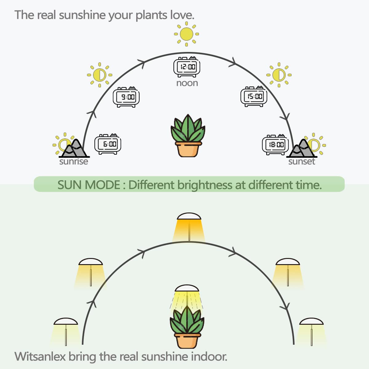 LED Grow Lights for Indoor Plants 2 Pack, Smart Full Spectrum USB Small Plant Lights with Remote, Height Adjustable, Auto On/Off Timer, Ideal for Home Decoration