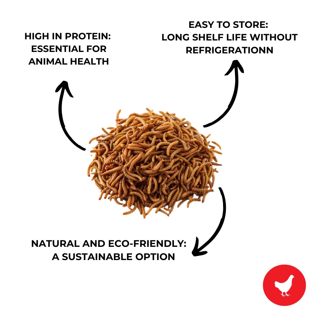 Ma Poule Express 2 lbs (0.9 kg) Dried Mealworms for Wild Birds, Mealworms for Chickens, Ducks | Approx. 32,000 Mealworms | High Protein Treat | All-Natural Chicken Feed Supplement